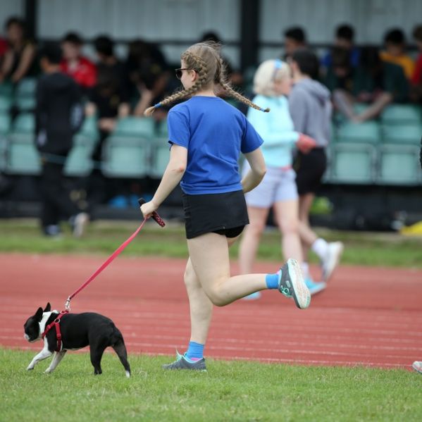 Sports day 2019-375